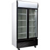 VISICOOLER LG-800F 2PTA 800L 100x72x200CM 0°C/+°5C AIRE FORZADO MASTERCOLD