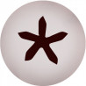 Boquilla Estrella 5P Inox Ø4.5Xø18X35Mm Sanneng Sn7077