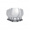 Set 24 Copa Agua Paulista 250Ml Alt 11Cm Ancho 7.5Cm Vid Nadir