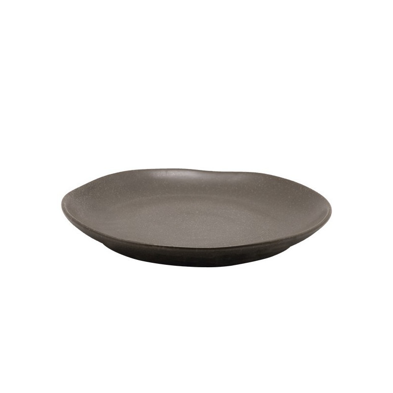 Set 4 plato porcelana grafito 30cm Terra
