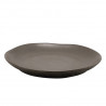 Set 4 plato porcelana grafito 30cm Terra