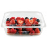 Contenedor Al Vacio Foodsaver Ffc003X Oster 700Ml
