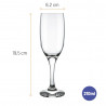Set copas espumante 210ml Windsor 12 unidades