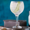 Set copas cocktail 600ml Gin 6 unidades