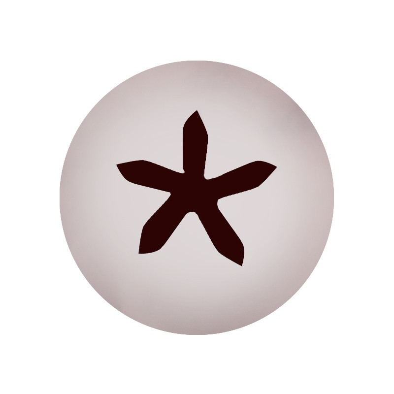 Boquilla Estrella 5P Inox Ø4.5Xø18X35Mm Sanneng Sn7077