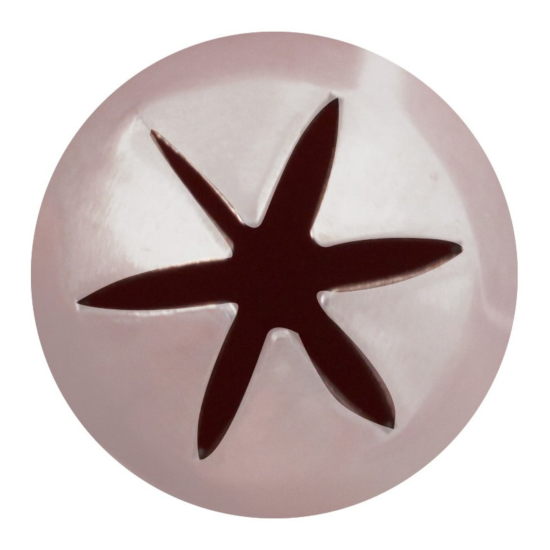 Boquilla Estrella 6P Inox Ø8.5Xø17X30Mm Sanneng Sn7086