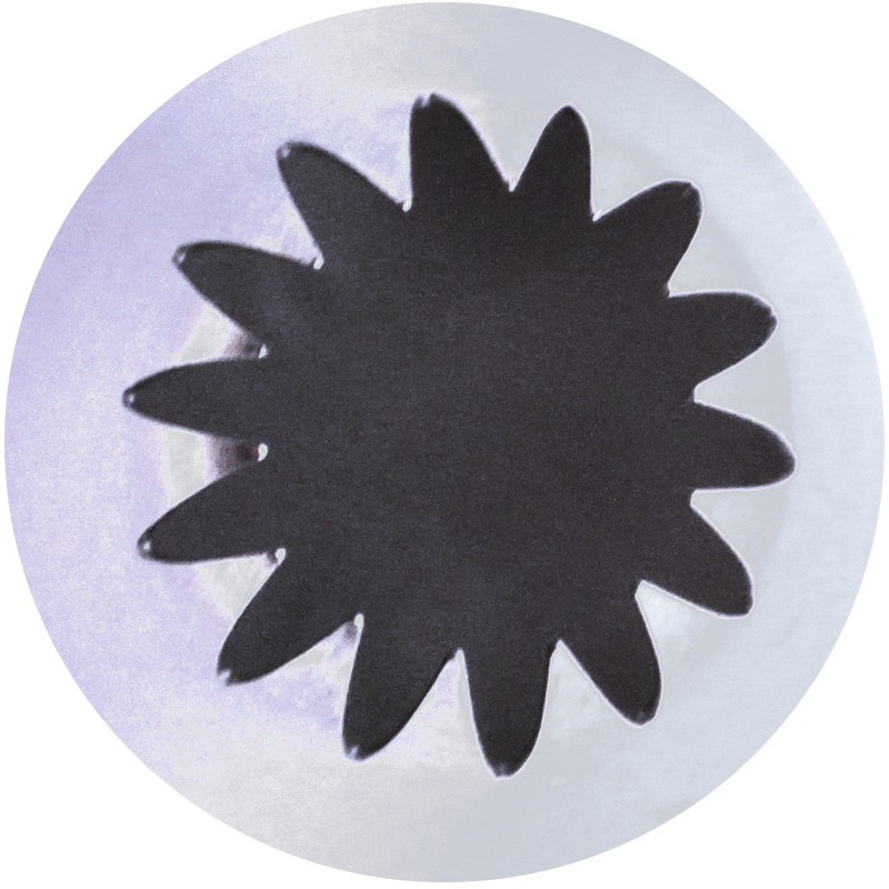 Boquilla Rizada 14P Inox Ø17Xø30X45Cm Sanneng Sn7121